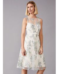 phase eight maddie fit and flare dress