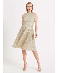 phase eight may stem flower dress