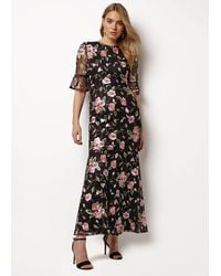 Phase Eight - Antonette Embroidered Dress - Lyst