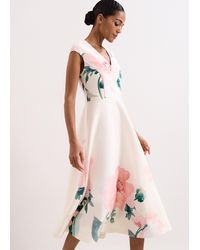 Phase Eight - Rakhi Scuba Floral Printed Midi Dress - Lyst