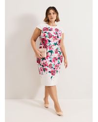 Phase Eight - Dannas Scuba Floral Dress - Lyst