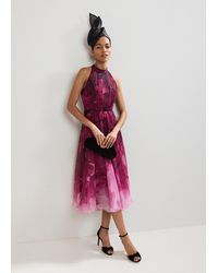 Phase Eight - Bethany Floral Print Dress - Lyst