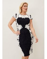 Phase Eight - Nori Tapework Lace Fitted Dress - Lyst