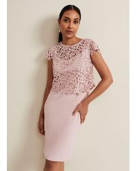 Phase Eight - Petite Daisy Lace Midi Dress - Lyst