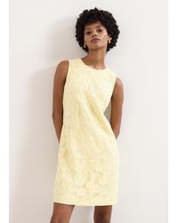 Phase Eight - Bryony Lace Shift Mini Dress - Lyst