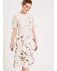 phase eight meryl floral dress emerald