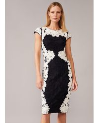 Phase Eight - Nori Tapework Lace Fitted Dress - Lyst