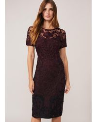 Phase Eight - Kadie Cap Sleeve Tapework Dress - Lyst