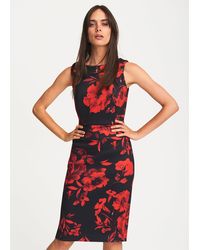 phase eight gracie floral scuba dress