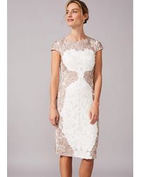 Phase Eight - Nori Tapework Lace Fitted Dress - Lyst