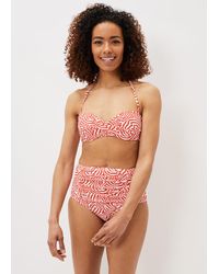 Phase Eight - Isabelle Zebra Bikini Top - Lyst
