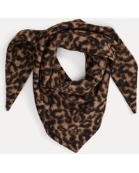 Phase Eight - Leopard Print Neck Scarf - Lyst