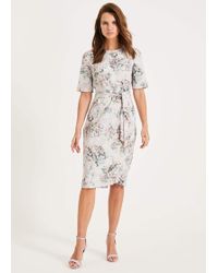 phase eight keely printed dress