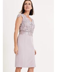 phase eight green ellise lace bodice dress