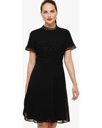 Phase Eight - Ivanna Lace Bodice Dress - Lyst