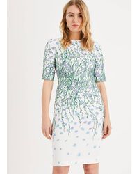 Phase Eight - 's Julie Embroidered Flower Dress - Lyst