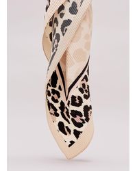 Phase Eight - Leopard Pleated Scarf - Lyst