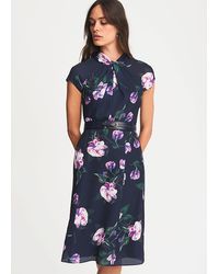 phase eight helena floral belted dress