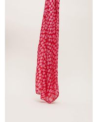 Phase Eight - 's Heart Print Lightweight Scarf - Lyst