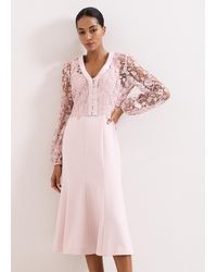 Phase Eight - Petite Ayumi Lace Top Midi Dress - Lyst