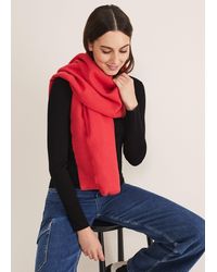 Phase Eight - Plain Blanket Scarf - Lyst