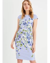 phase eight gracie floral scuba dress