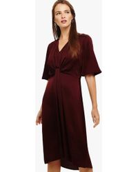 phase eight rosina dress