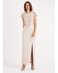 phase eight green ellise lace bodice dress
