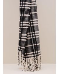 Phase Eight - Checked Printed Scarf - Lyst