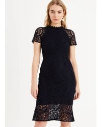 phase eight frances dress