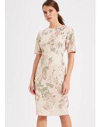phase eight cameo sable embroidered dress