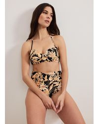 Phase Eight - Sunflower Print Bikini Top - Lyst