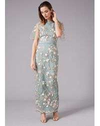 Phase Eight - Collection 8 Glenda Floral Dress - Lyst