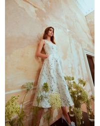 Phase Eight - Becka Floral Jacquard Fit And Flare Dress - Lyst