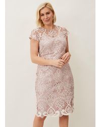 Phase Eight - Frances Lace Fitted Dress - Lyst