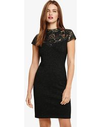 Phase Eight - Ursula Knitted Dress - Lyst
