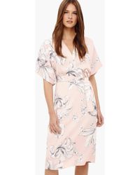 phase eight meryl floral dress emerald