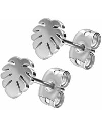 FILANGO - Titan Ohrstecker Palmenblatt - Lyst