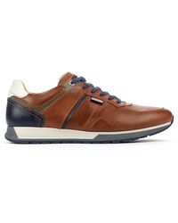 Pikolinos Leather Trainers Cambil M5n - Brown