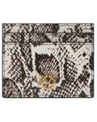 Pinko - Card Holder With Python Print - Lyst