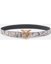 Pinko - Gürtel Mit Pythonprint Und Schnalle Love Birds 3 Cm - Lyst