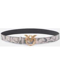 Pinko - Python-Print Belt With Love Birds Buckle, 3 Cm - Lyst