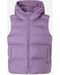 Pinko - Padded Puffer Gilet With Hood - Lyst