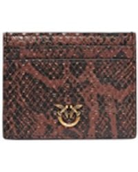 Pinko - Card Holder With Python Print - Lyst