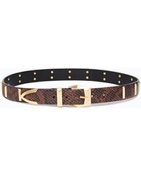 Pinko - Python-Print Leather Belt With Studs, 3 Cm - Lyst