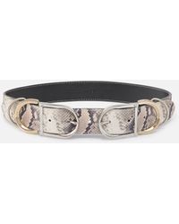 Pinko - Gürtel Mit Pythonprint Und Metallschlaufen 4 Cm - Lyst