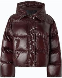 Pinko - Technical Canvas Jacket With Hood - Lyst