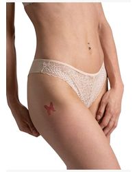 Passionata - Tanga - Lyst