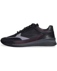 hugo boss element sneakers