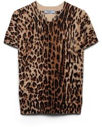 Prada - Short-Sleeved Printed Cashmere Sweater - Lyst
